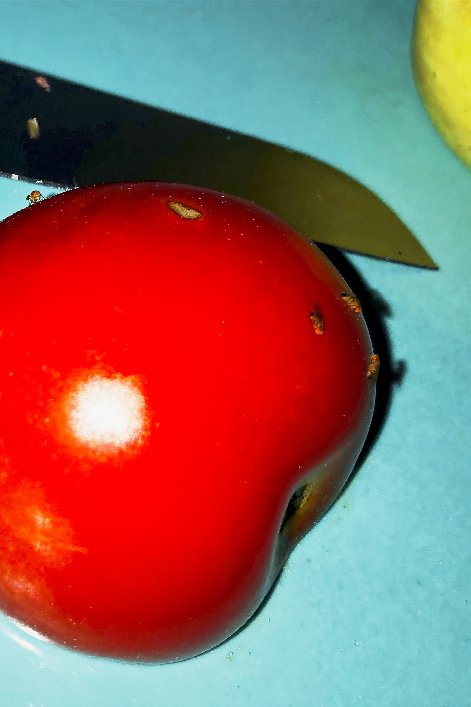 About Food, Personal Projects