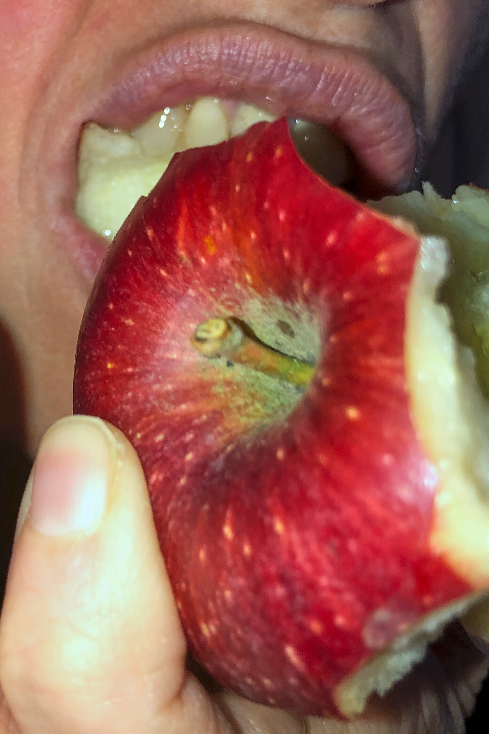 About Food, photograph 6
